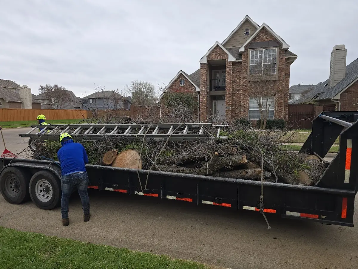 Expert Lot Clearing with proper safety equipment in Canby